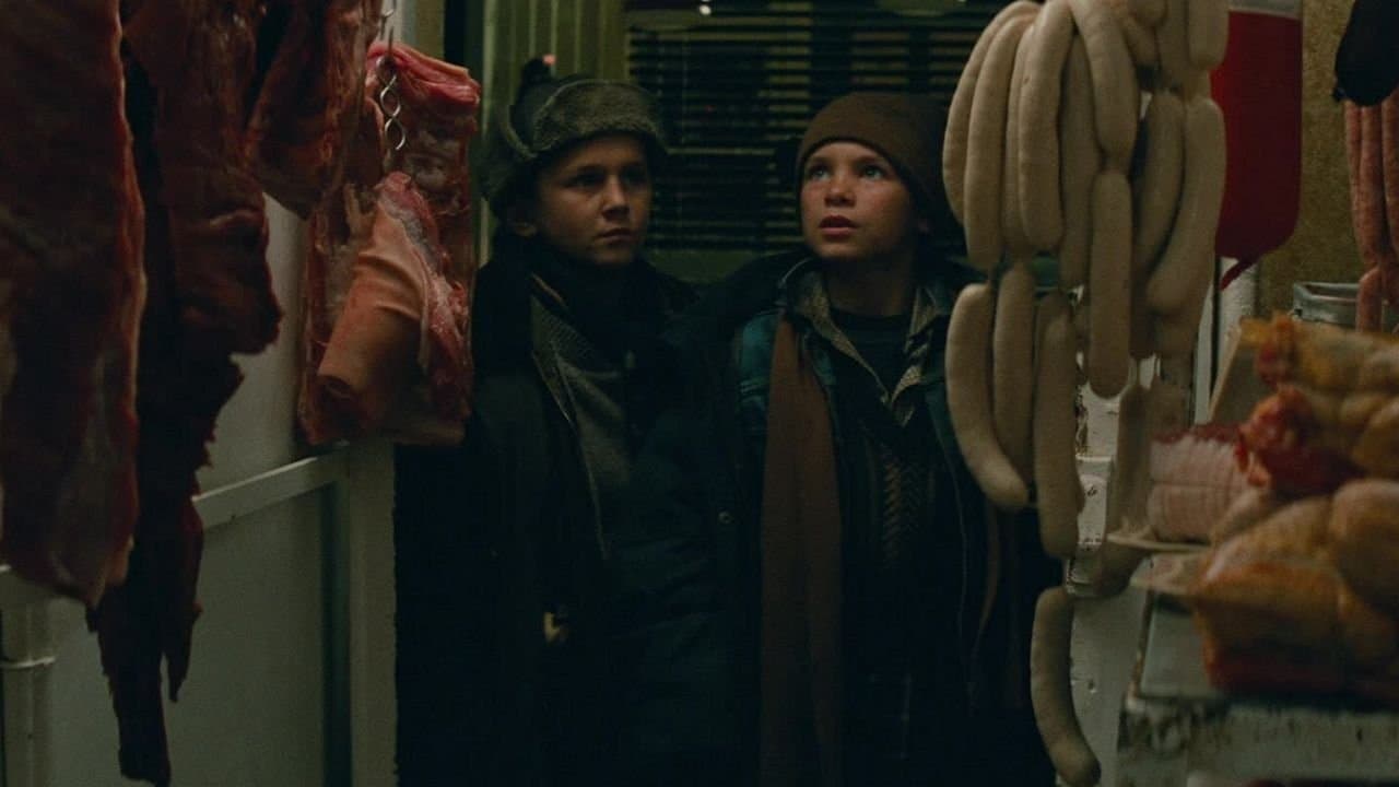 Le Fils du requin backdrop