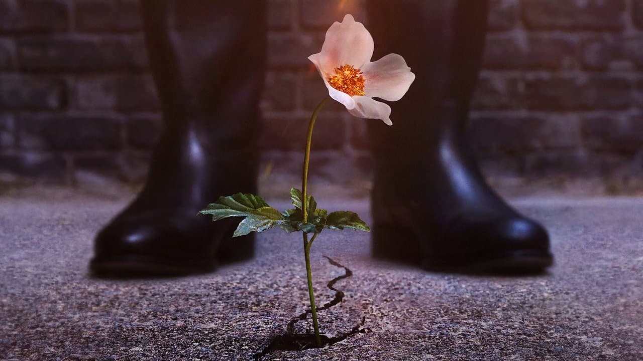 Le Maître du Haut Château backdrop
