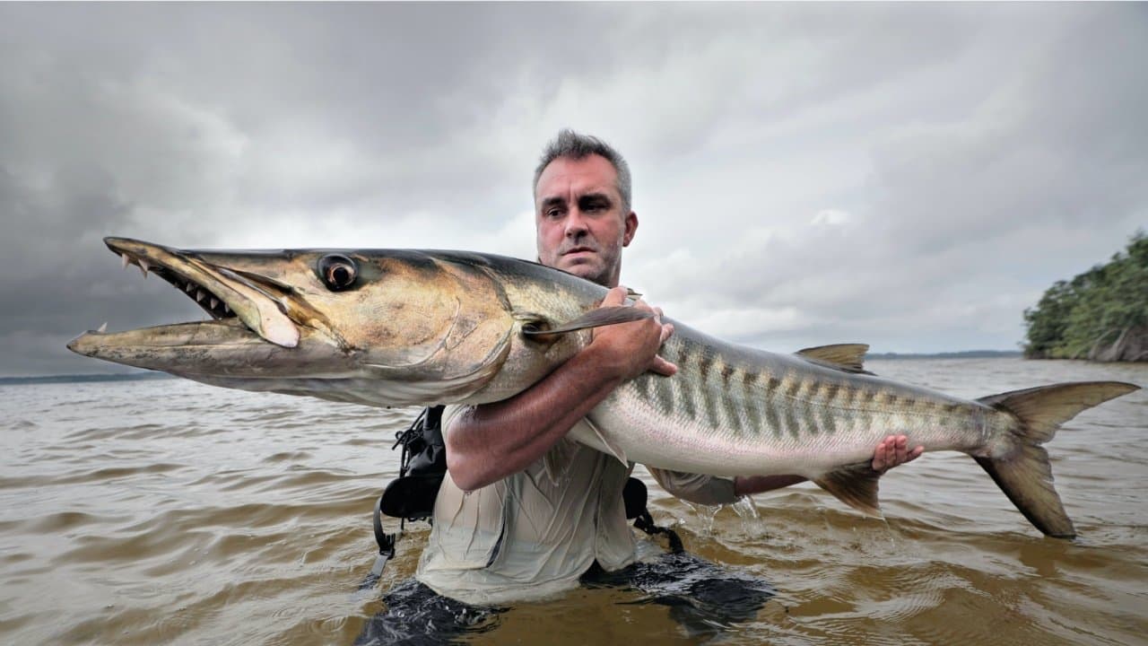 Pêche XXL backdrop