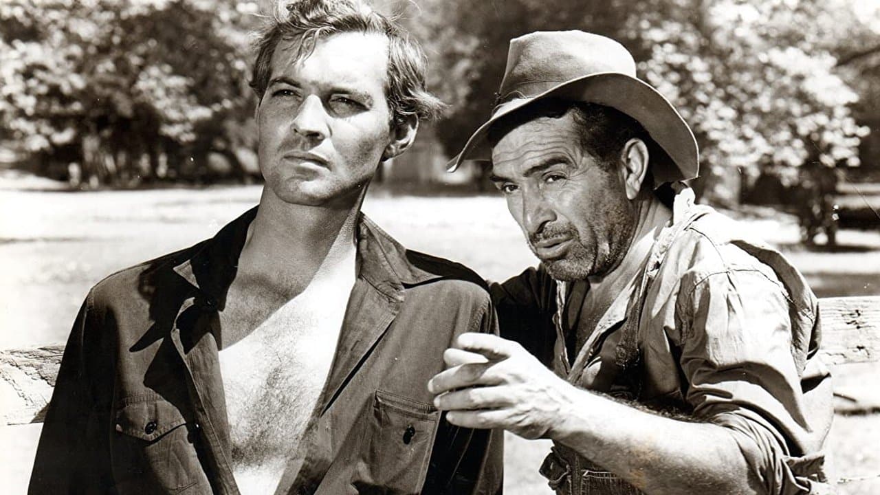 L'Homme du Sud backdrop