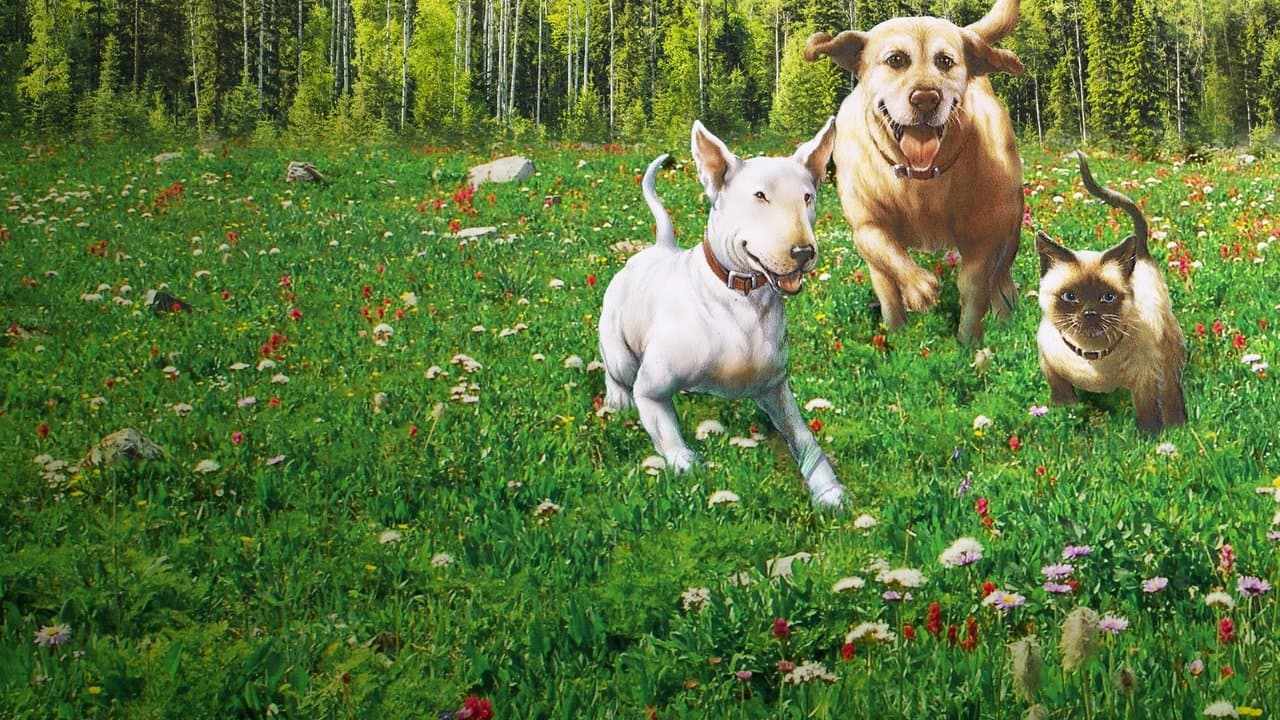 L'incroyable randonnée backdrop