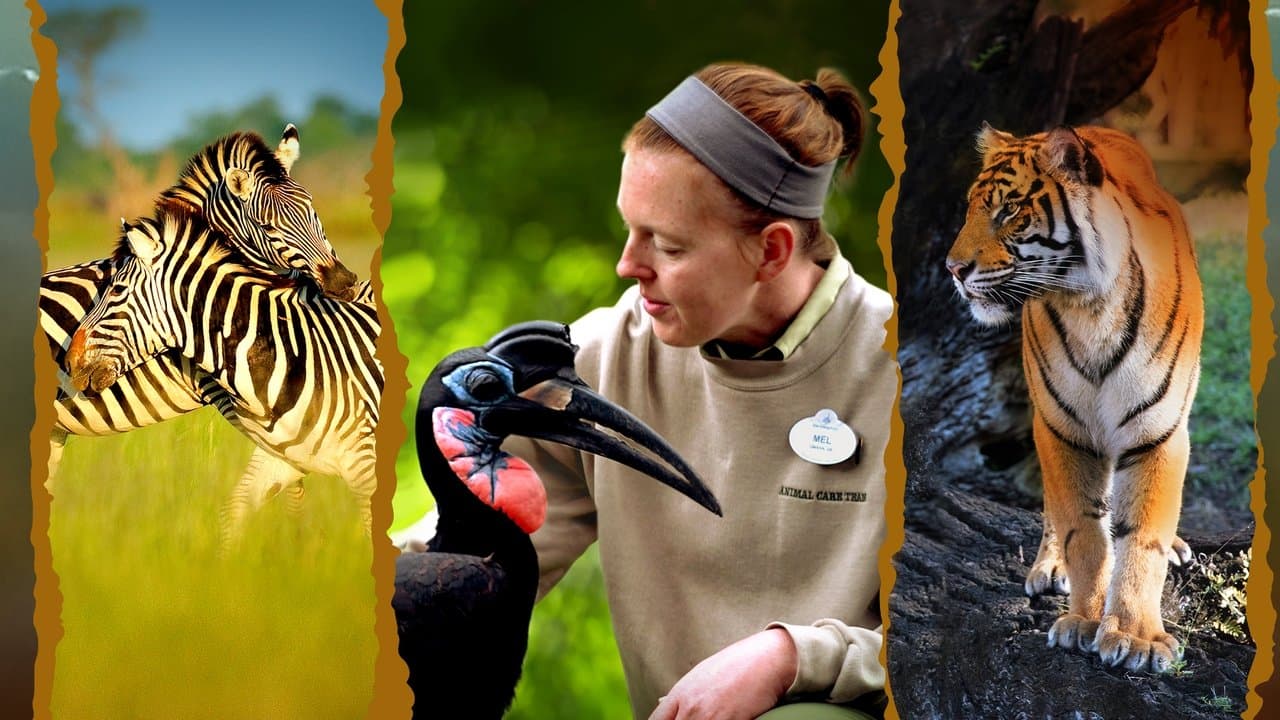 Au cœur de Disney's Animal Kingdom backdrop