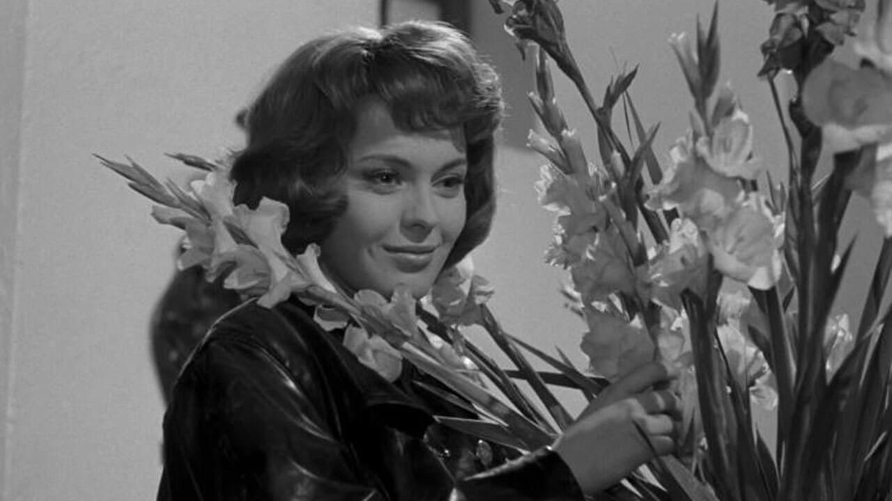 L'Amant de cinq jours backdrop