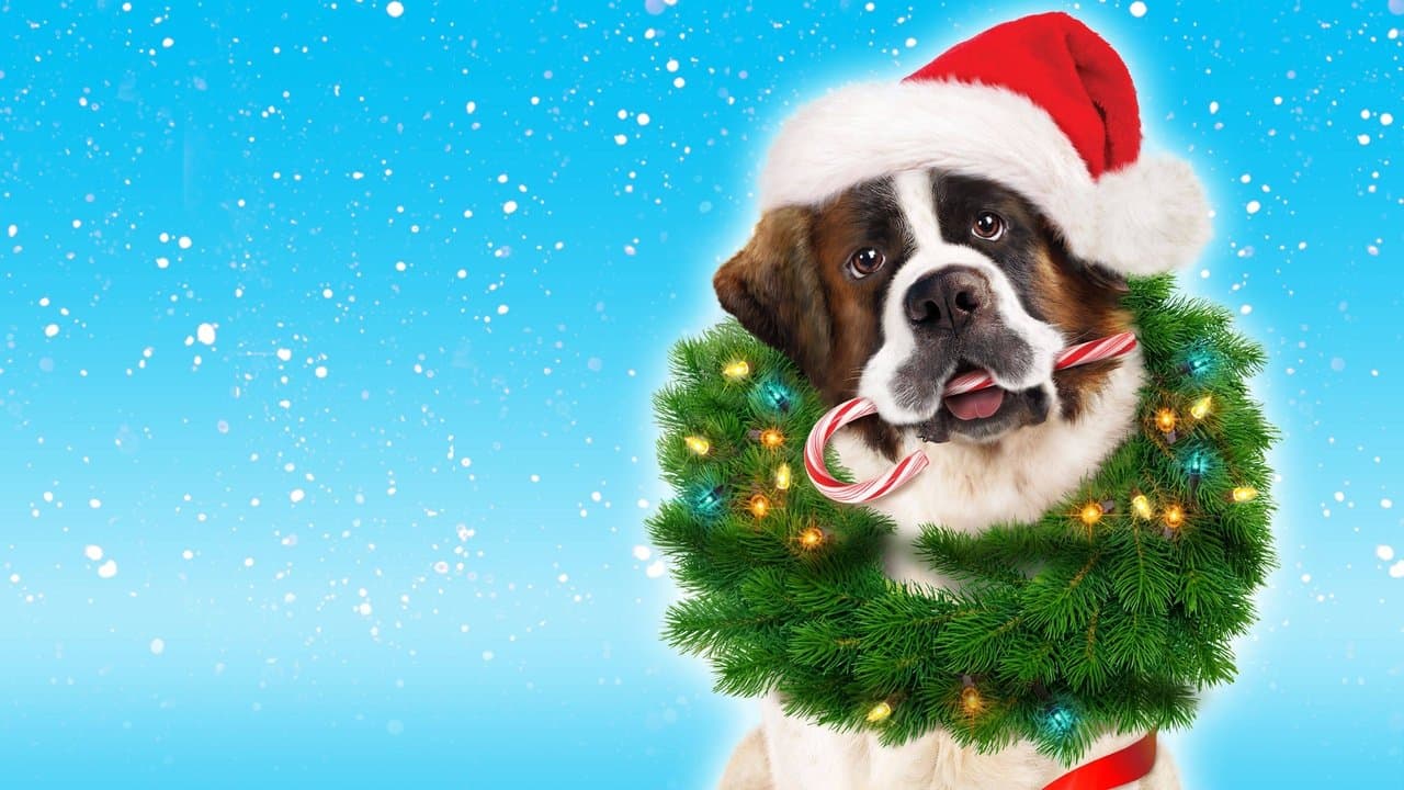 Beethoven sauve Noël backdrop