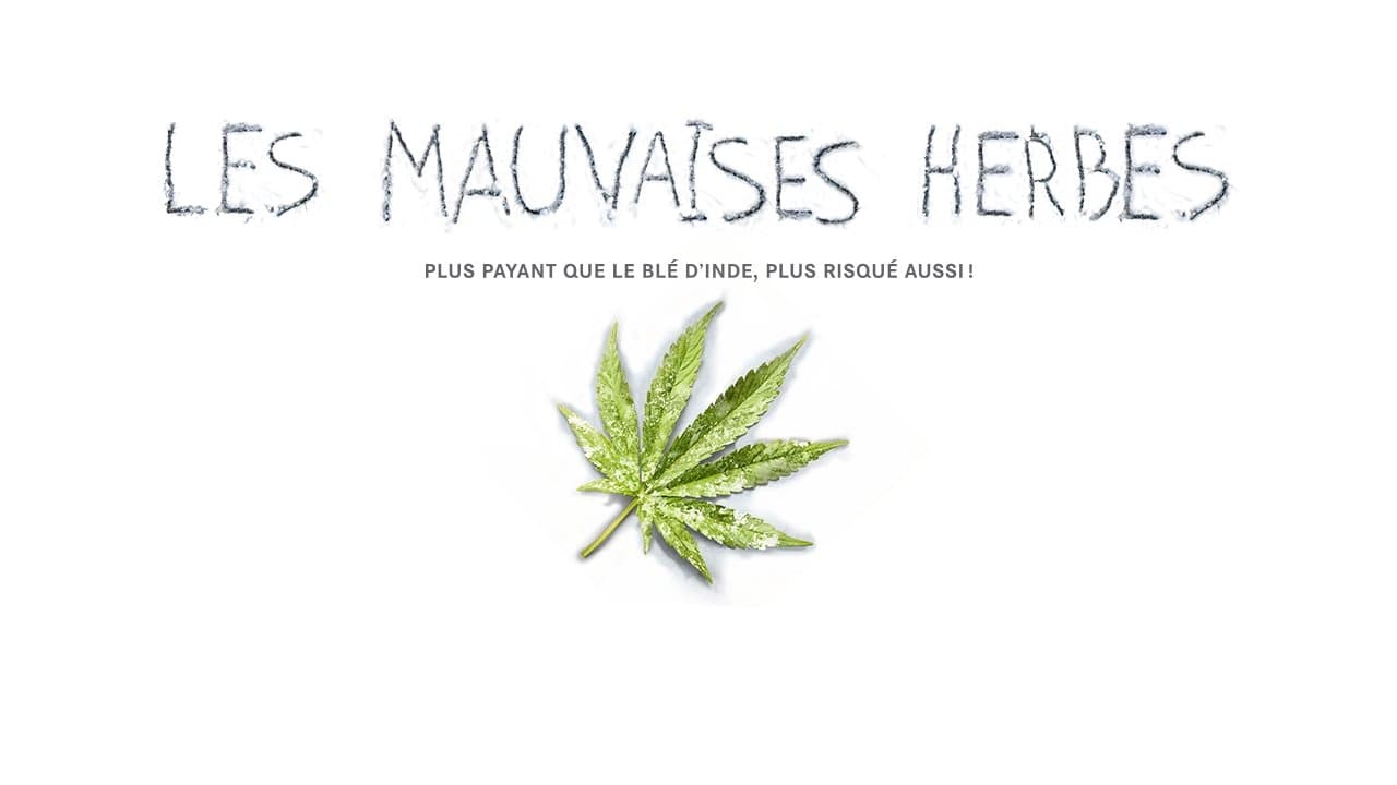Les mauvaises herbes backdrop
