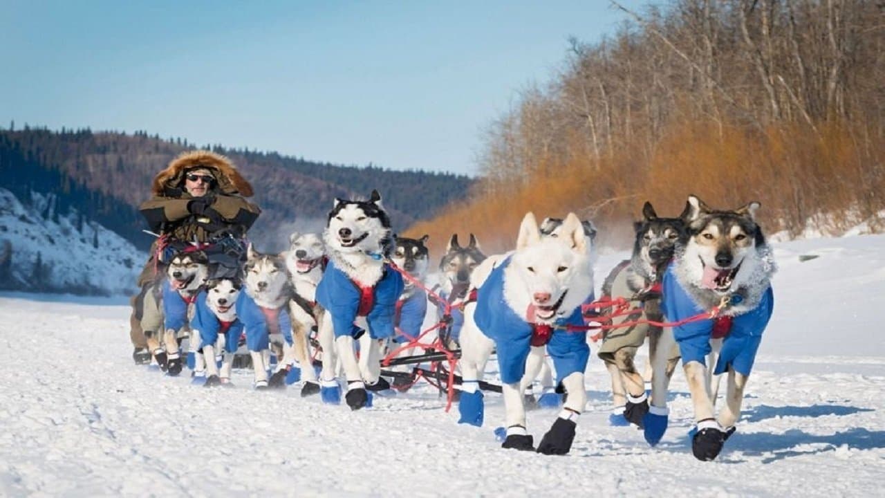 L'Odyssée Sibérienne backdrop
