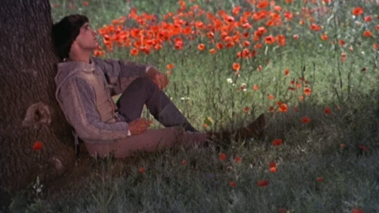 François et le chemin du soleil backdrop