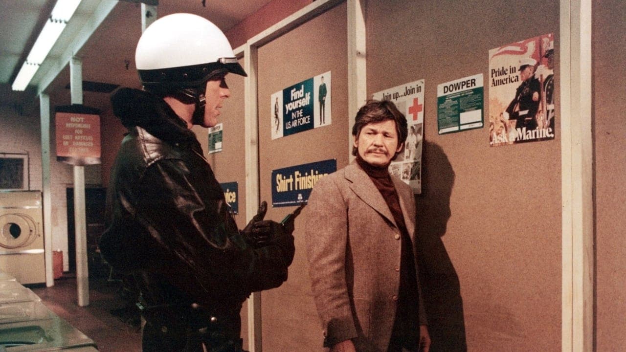 Monsieur St. Ives backdrop