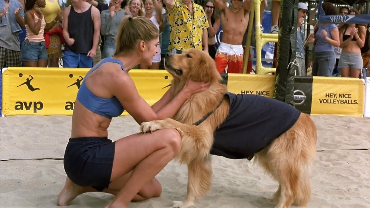 Air Bud 5 - Superstar backdrop