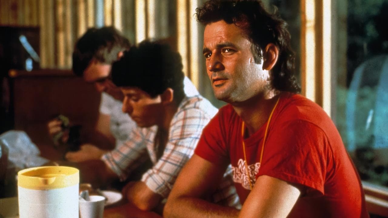 Arrête de ramer, t'es sur le sable backdrop