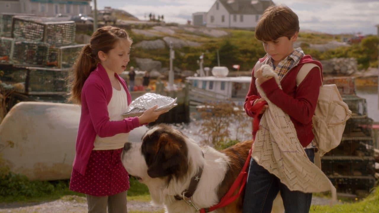 Beethoven : Le trésor des pirates backdrop