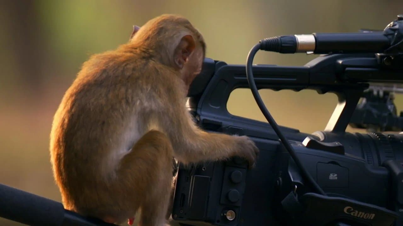 Drôle de nature backdrop