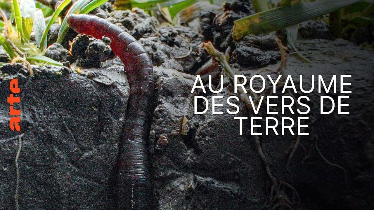 Au royaume des vers de terre: La vie du sol dévoilée backdrop