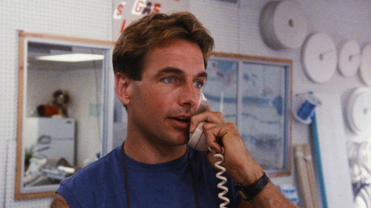 Le Prince de Bel Air backdrop