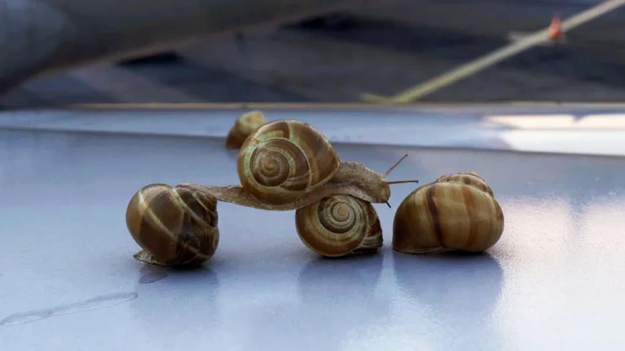 1 mètre/heure backdrop