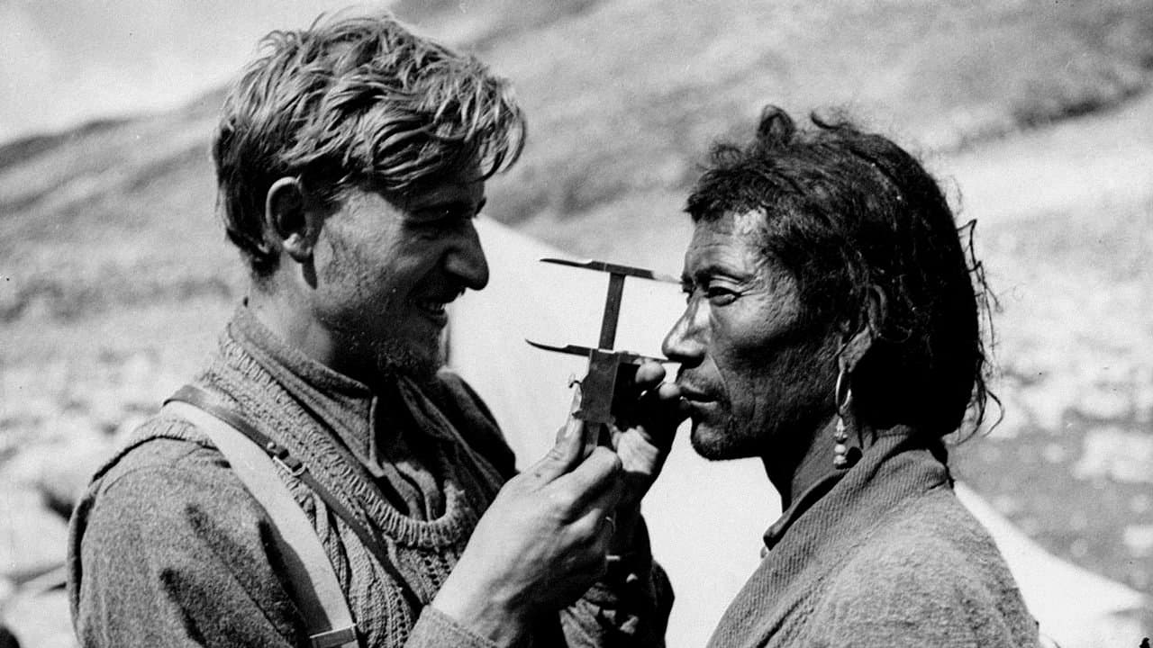 Sciences nazies : la race, le sol et le sang backdrop