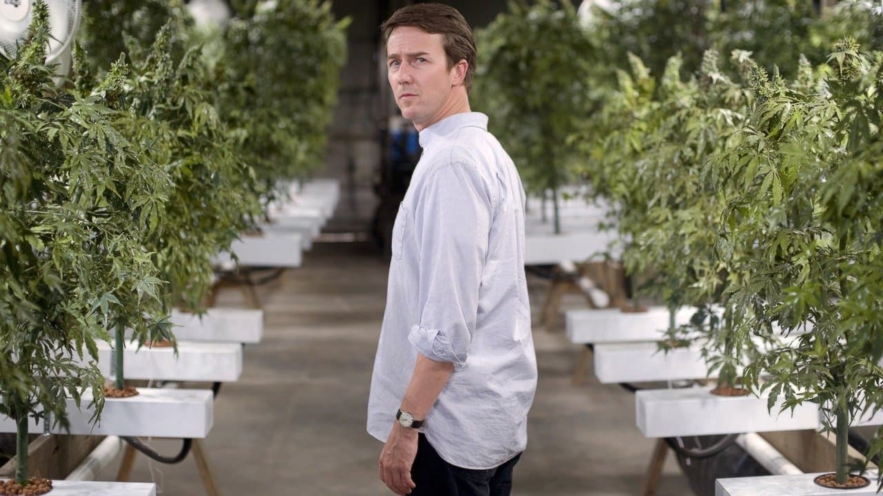 Escroc(s) en herbe backdrop