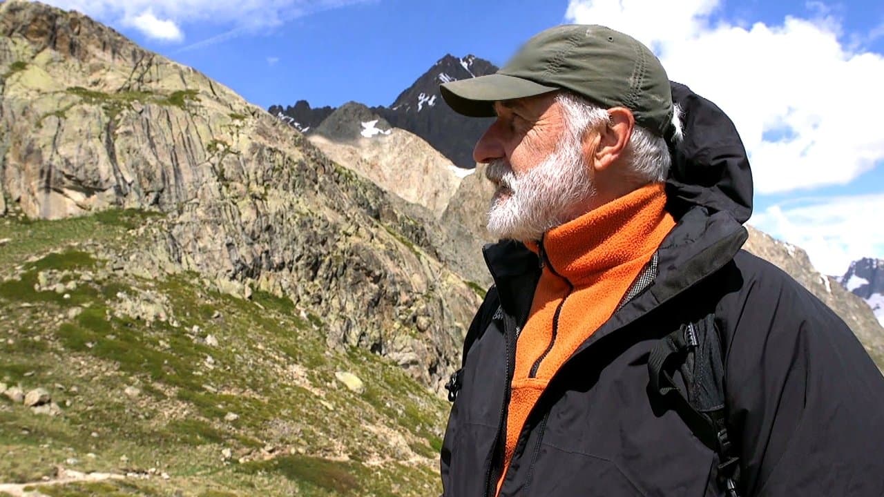 Voyage en bande backdrop