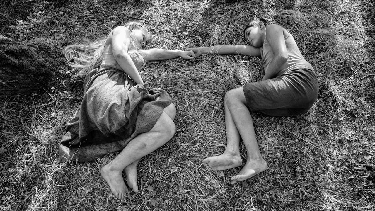 L'Oiseau bariolé backdrop