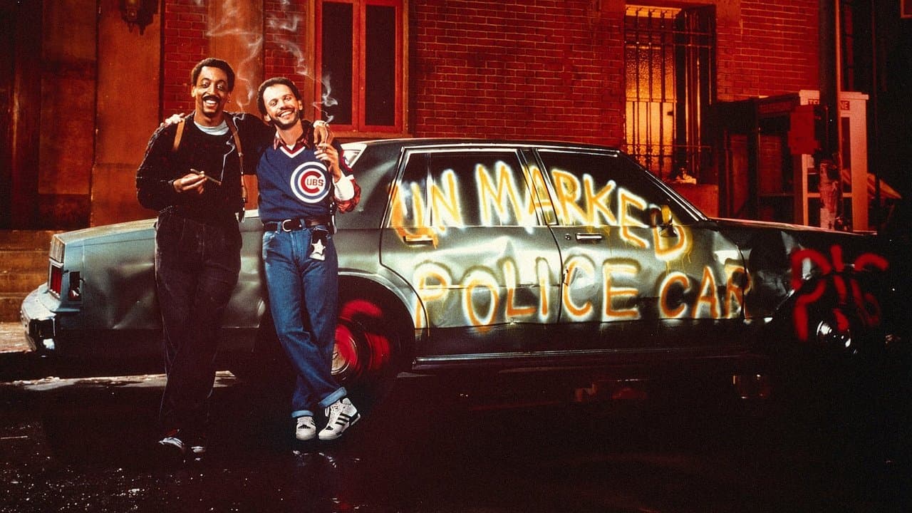 Deux flics à Chicago backdrop