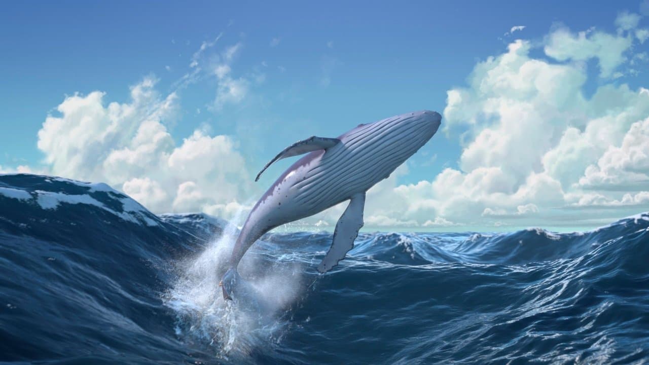 La Baleine et l'escargote backdrop