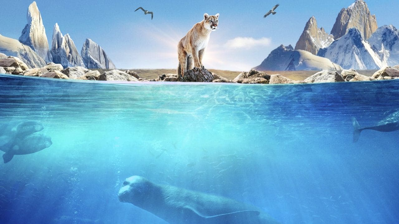 Patagonie : La vie au bout du monde backdrop