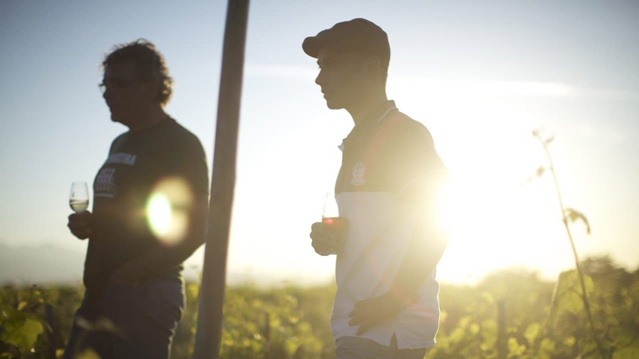 Wine Calling backdrop
