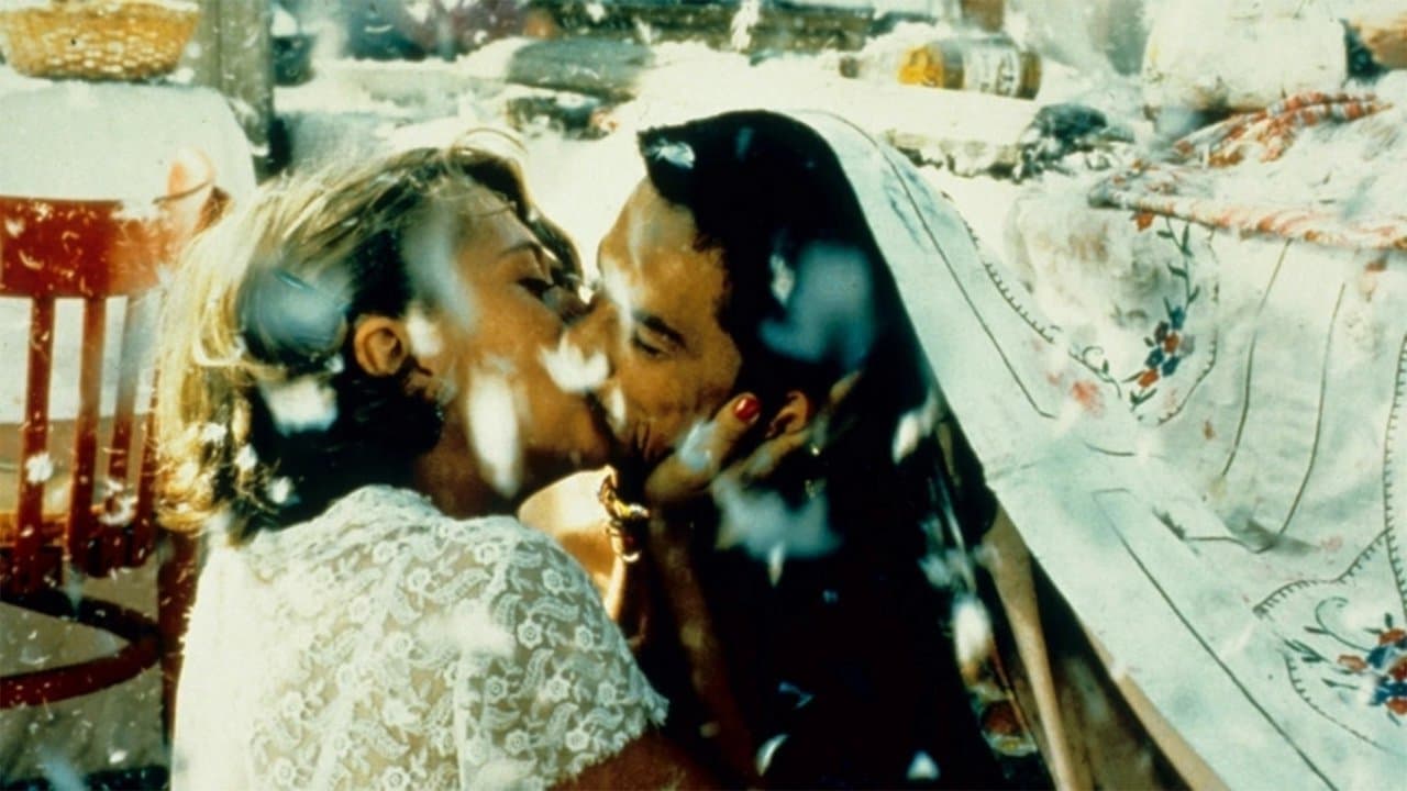 Chat noir, chat blanc backdrop