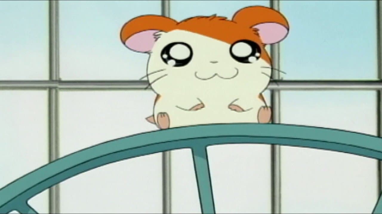 Hamtaro - P'tits hamsters, grandes aventures backdrop