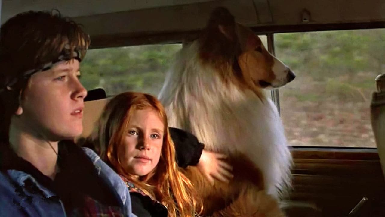 Lassie : Des amis pour la vie backdrop