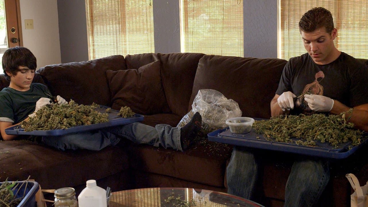 Green is Gold backdrop