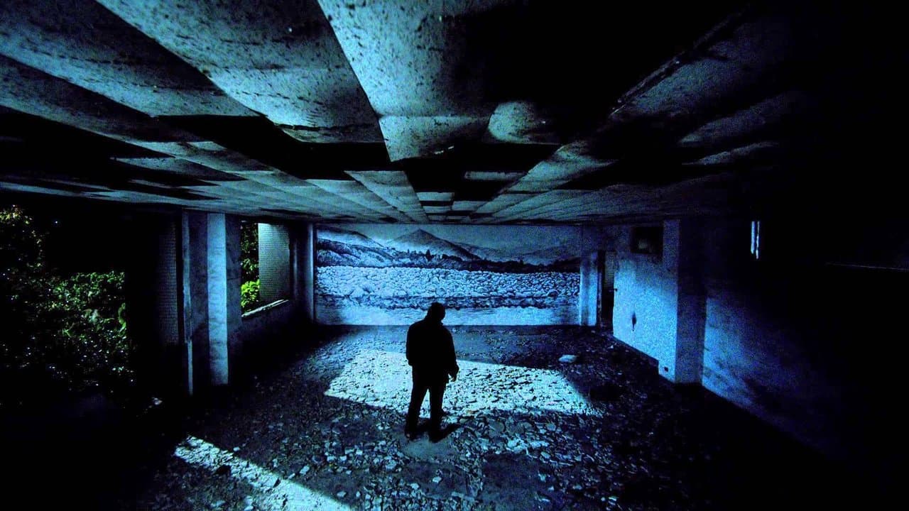 Les chiens errants backdrop