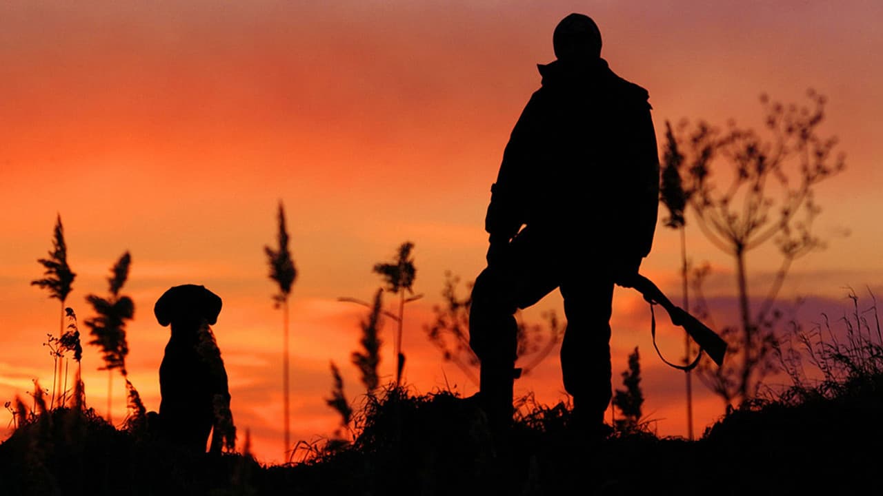 Hunter : Première partie backdrop