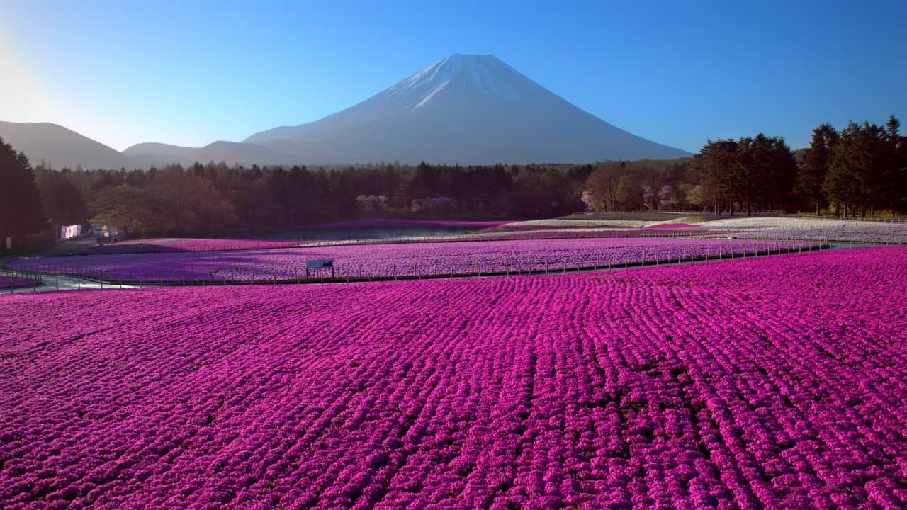 Le Japon vu du ciel backdrop