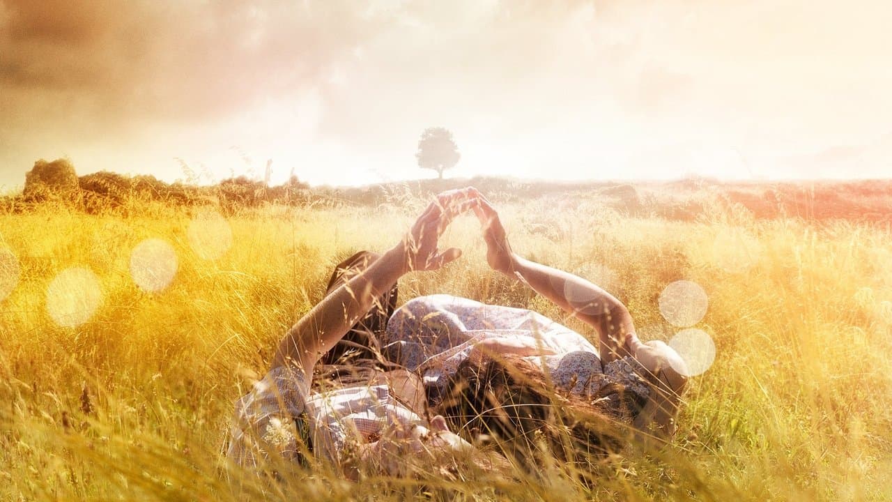 L'Histoire de l'amour backdrop