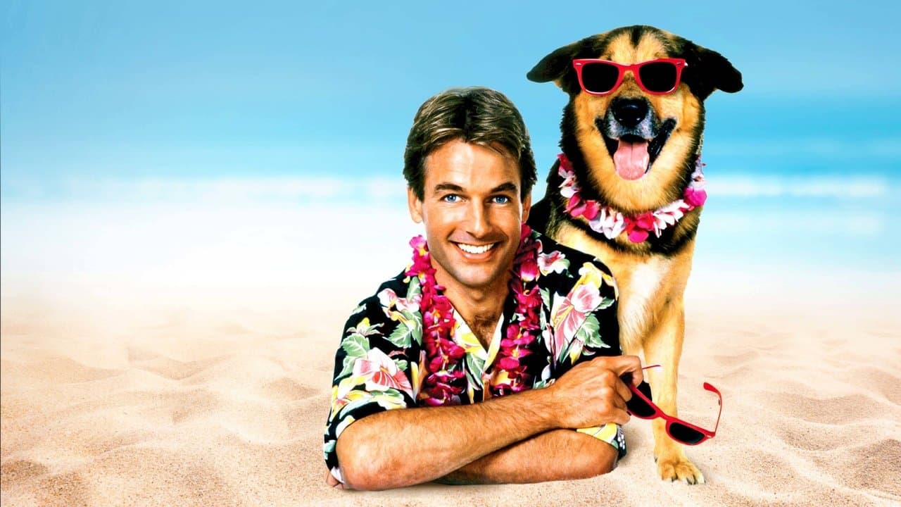 Prof d'enfer pour un été backdrop