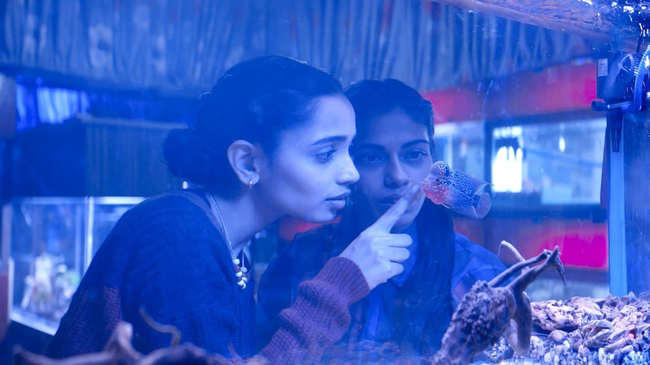 The Shameless backdrop