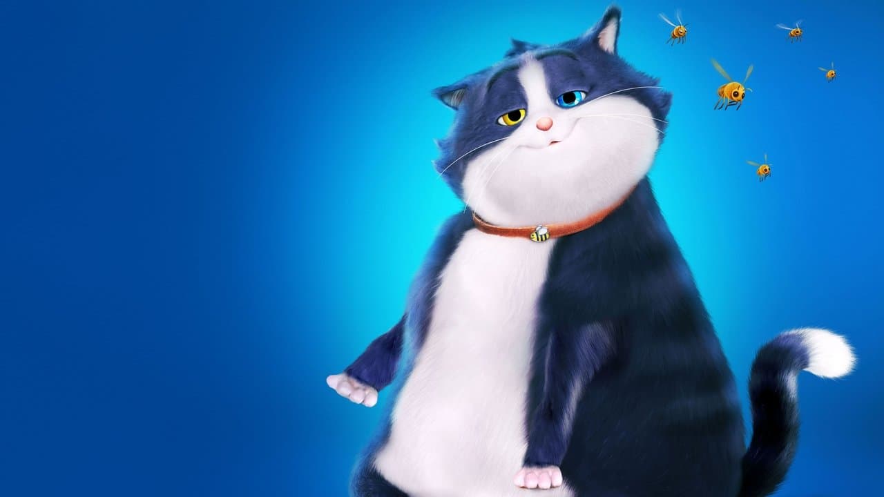 Croquette le chat merveilleux backdrop