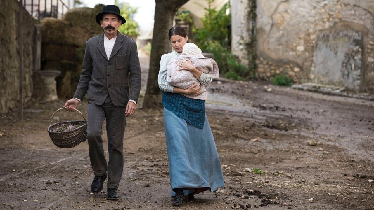 L'Incroyable Histoire du facteur Cheval backdrop