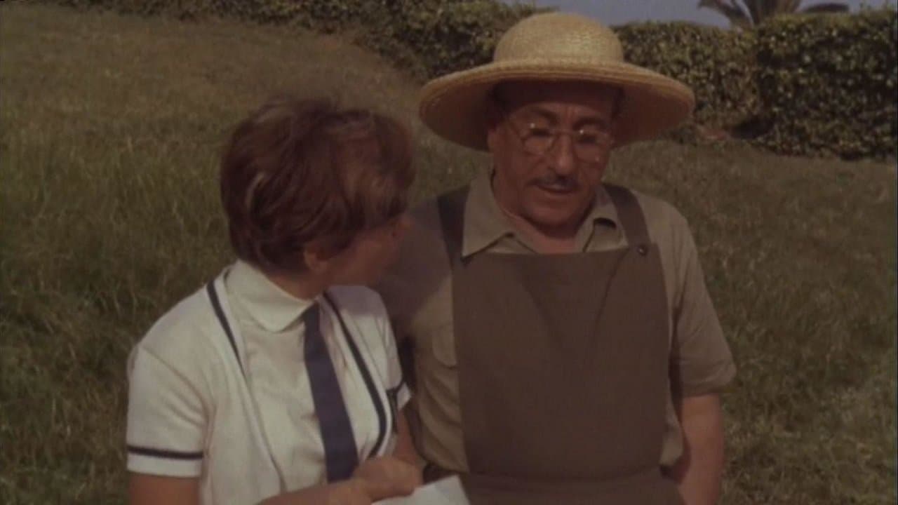 Rita la zanzara backdrop