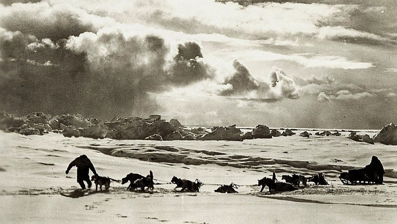 Byrd au pôle sud backdrop