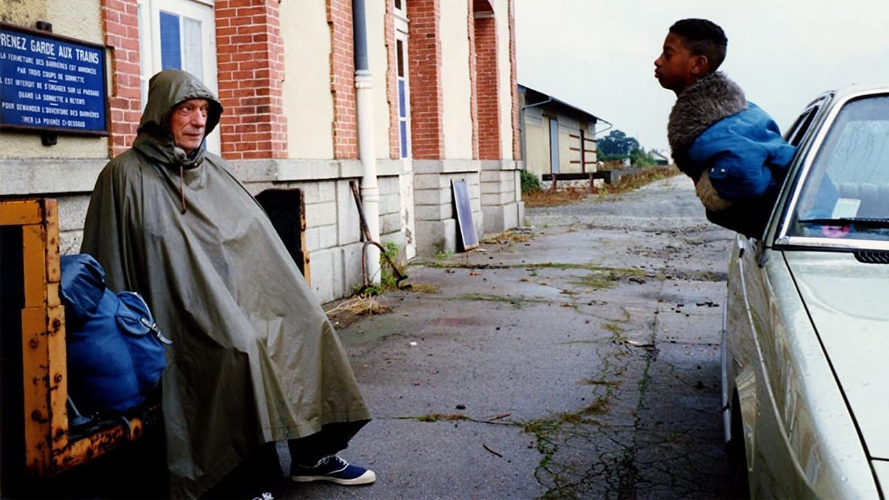 IP5: L'île aux pachydermes backdrop