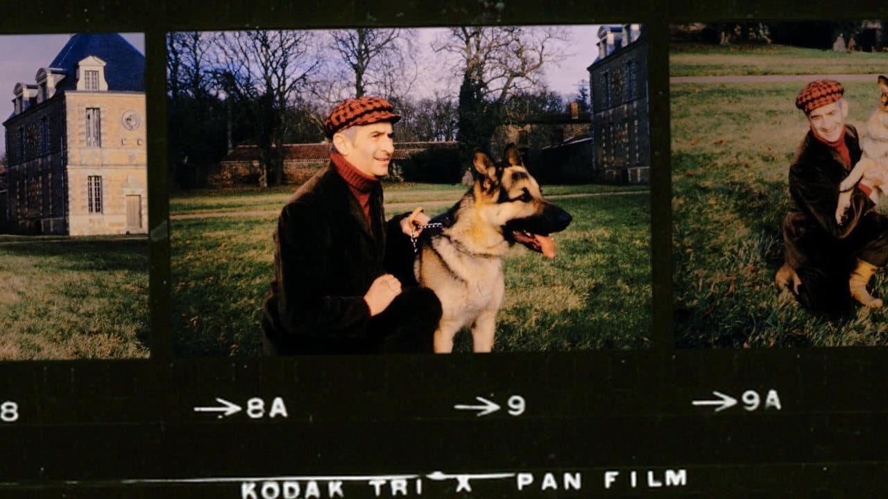 La Folle Aventure de Louis de Funès backdrop