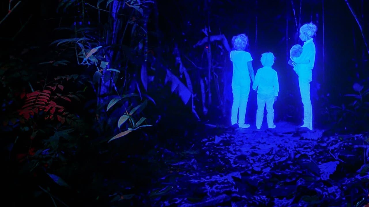 Les Enfants perdus : 40 jours dans la jungle backdrop