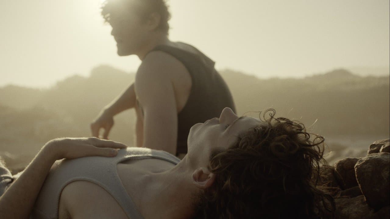 Les fleurs du silence backdrop