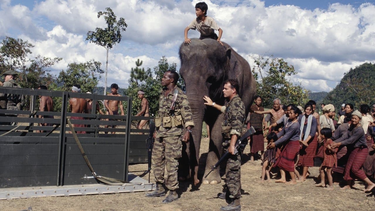 Opération Dumbo Drop backdrop