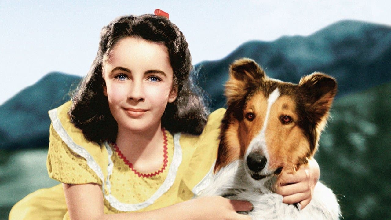 Le Courage de Lassie backdrop