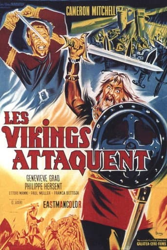 Les Vikings attaquent poster