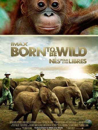 Born to Be Wild poster