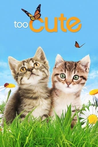 Too cute (Trop mignon) poster